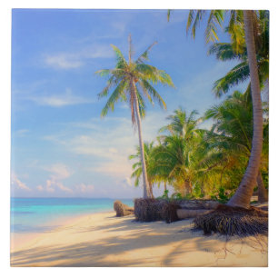 Carreau Palm Paradise de l'île tropicale des Philippines