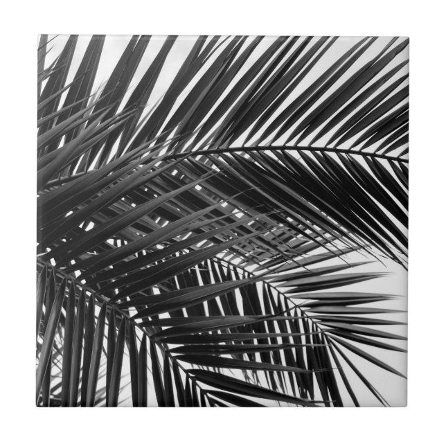 Carreau Palmettes tropicales - photographie noire et (Devant)