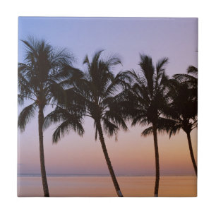 Carreau Palmier, matin