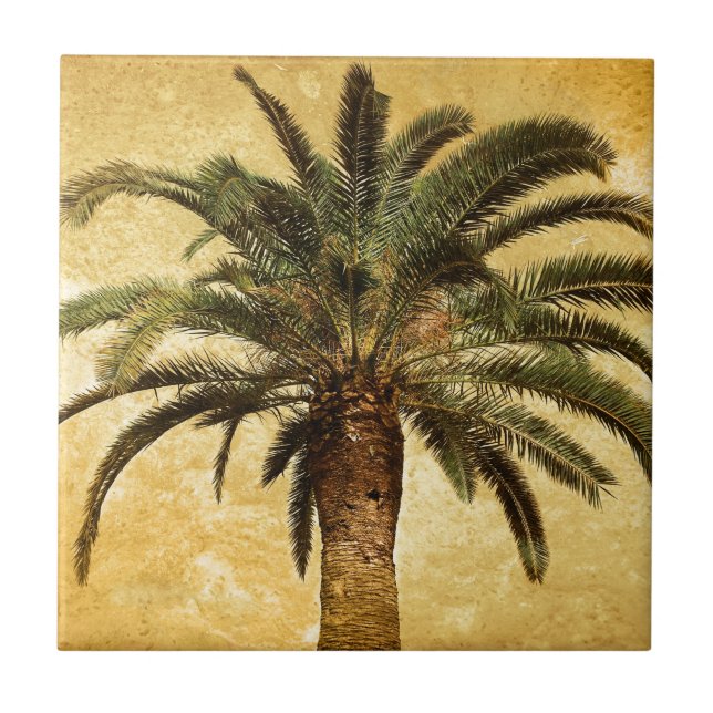 Carreau Palmier tropical vintage (Devant)