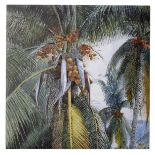 Carreau Palmiers à coco, Key West, Floride,
