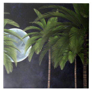 Carreau Palmiers contre la lune