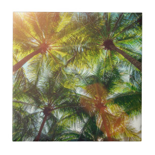 Carreau Palmiers de noix de coco sur la plage