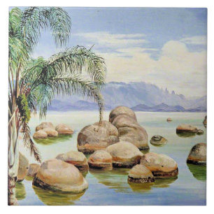 Carreau Palmiers et rochers, baie de Rio,