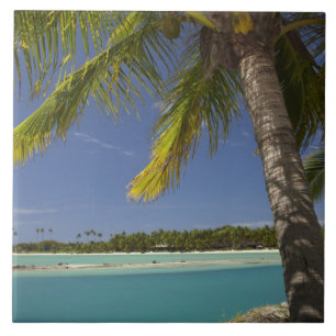 Carreau Palmiers & lagon, Musket Cove Island Resort