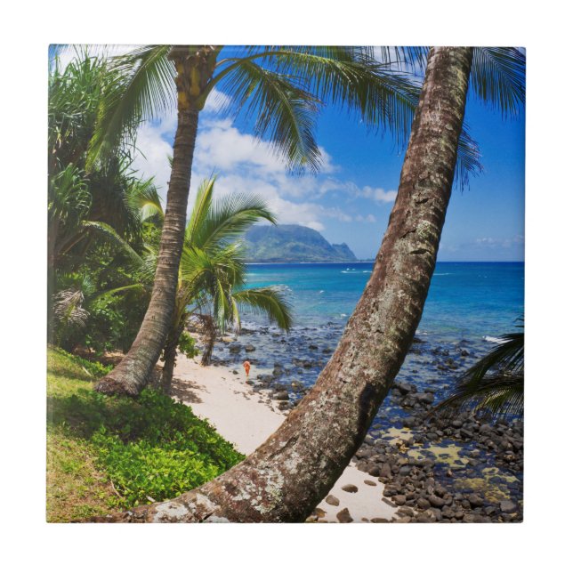 Carreau Palmiers Le Long De La Plage D'Hideaways (Devant)