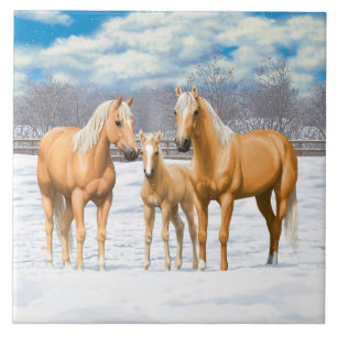 Carreau Palomino Quarter Horses