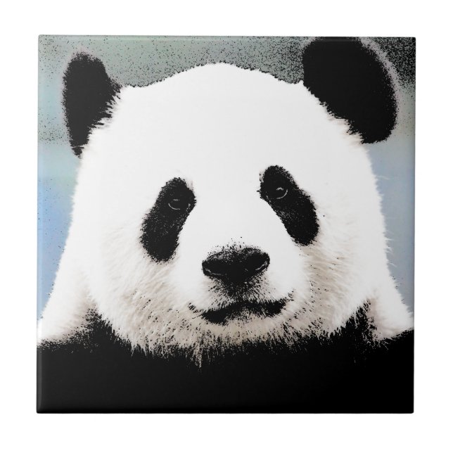 Carreau Panda (Devant)