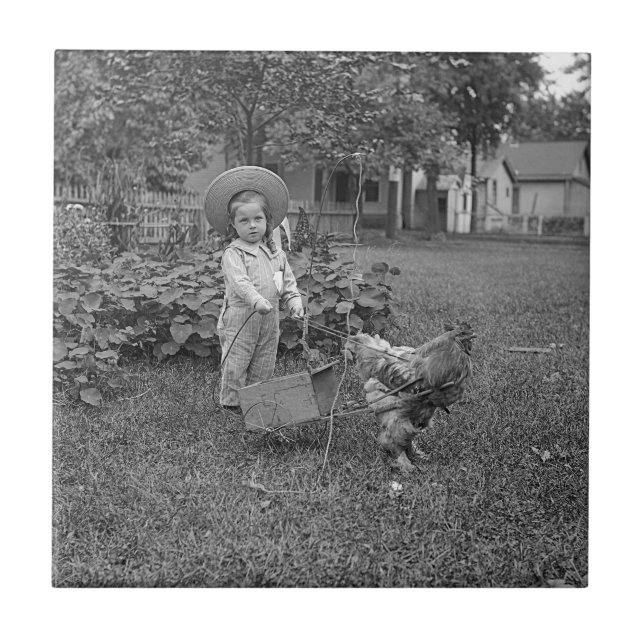 Carreau Panier à coq adorable des années 1880 dans le jard (Devant)