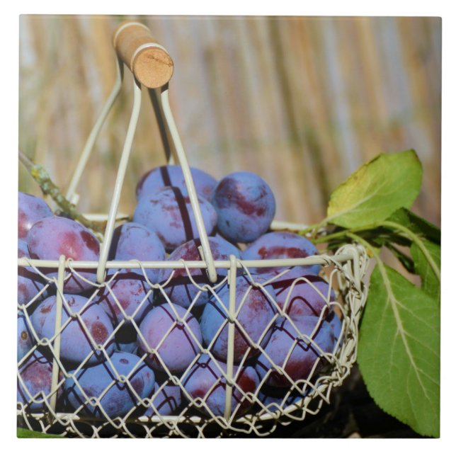 Carreau Panier de prunes pourpres (Devant)