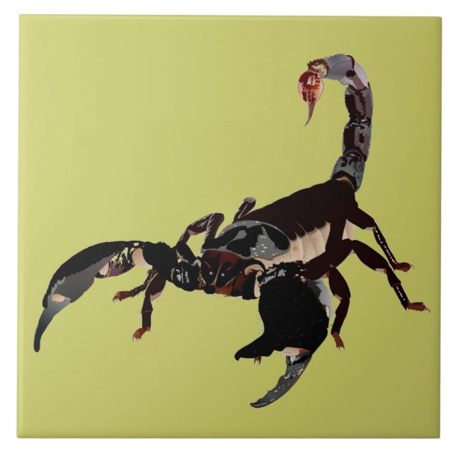 Carreau Panneau de photographie en céramique scorpion (Devant)