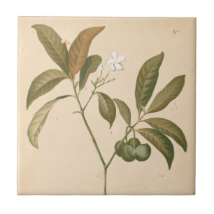 Carreau Panneau Décor Cobalt I