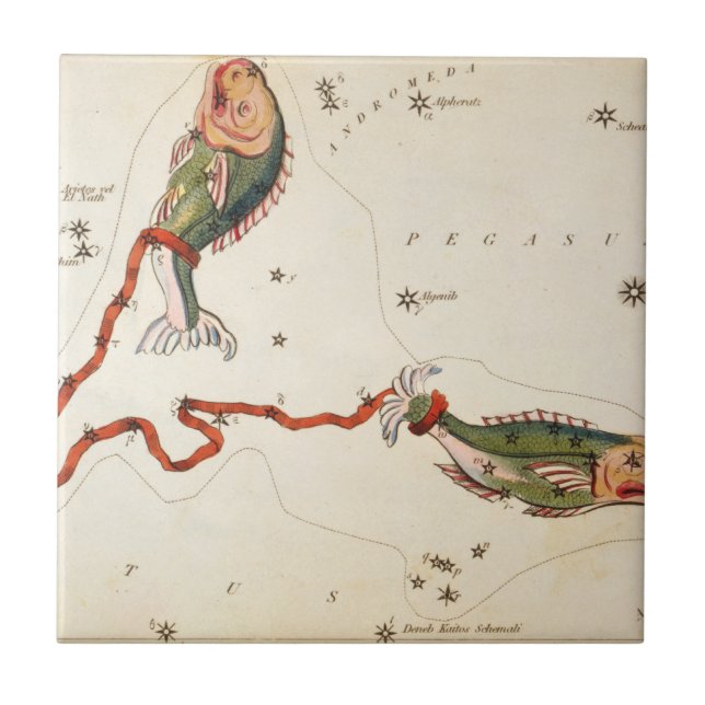 Carreau Panneau "Zodia" : Pisces" en céramique (Devant)