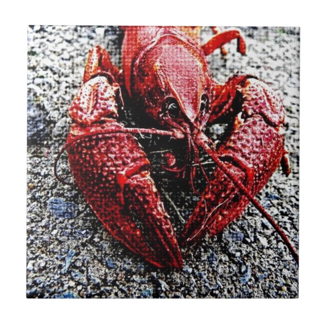 Carreau Papa de lob (Devant)