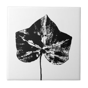 Carreau Papier blanc et noir ivoire