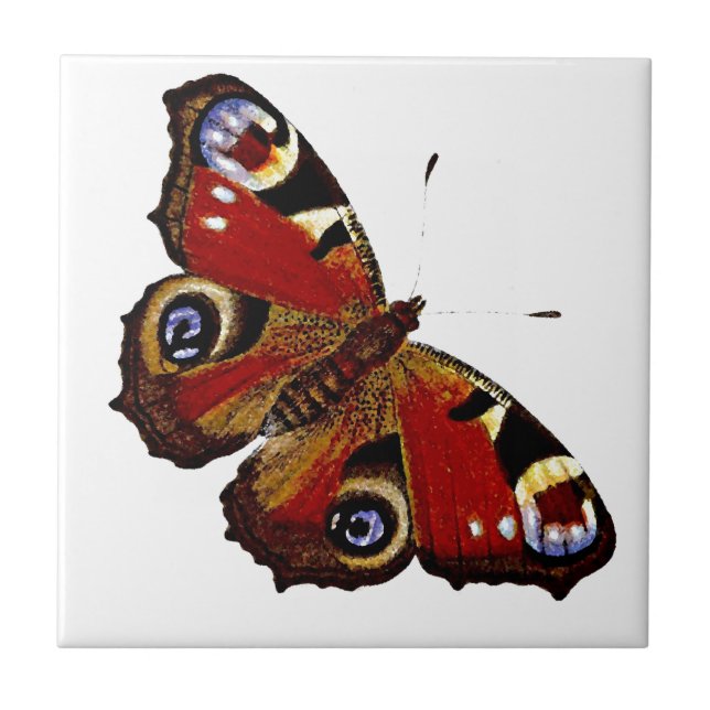 Carreau Papillon (Devant)