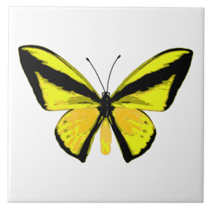 Carreau Papillon à aile jaune et noire