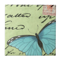 Papillon à ailes bleues sur carte postale Turquois