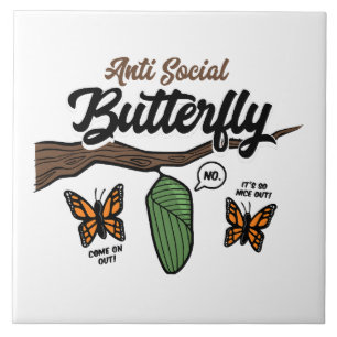 Carreau Papillon antisocial