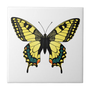 Carreau papillon aux couleurs vives