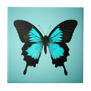 Carreau Papillon - bleu et noir de turquoise