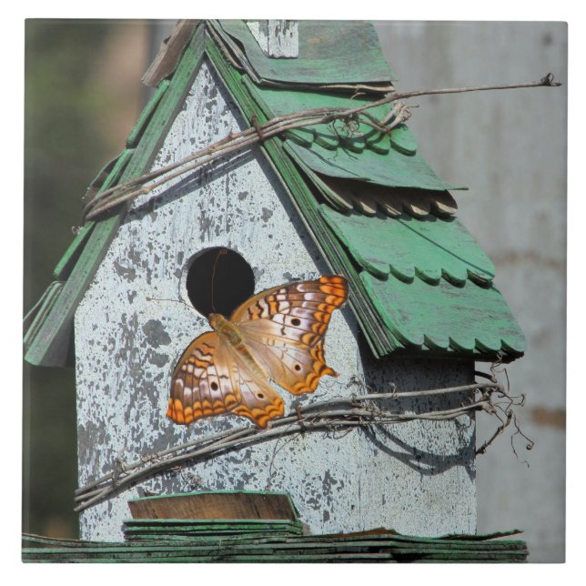 Carreau Papillon dans la tuile d'oiseaux (Devant)
