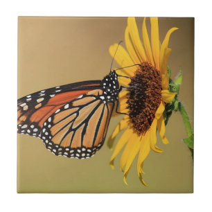Carreau Papillon de monarque sur le tournesol
