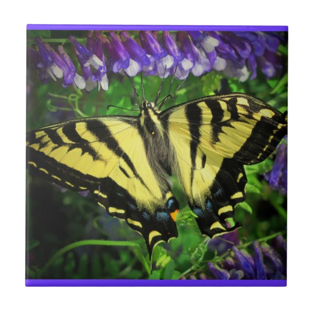 Carreau Papillon de tigre de vol (Devant)
