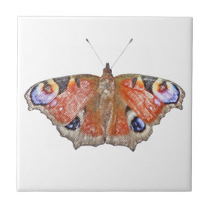 Carreau papillon fané