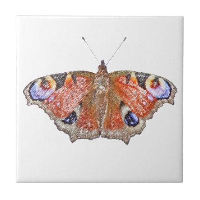 Carreau papillon fané (Devant)