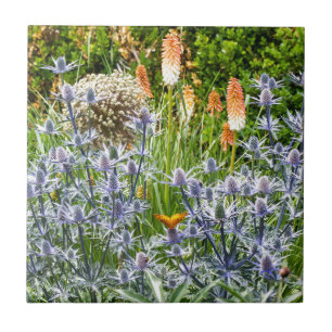 Carreau Papillon Fritillaire Dans Un Jardin Estival