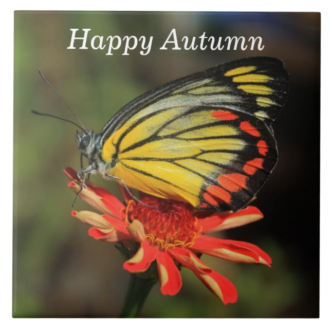 Carreau Papillon heureux d'automne (Devant)
