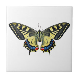 Carreau Papillon jaune et noir