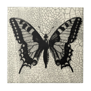 Carreau Papillon noir et blanc sur Arrière - plan fissuré