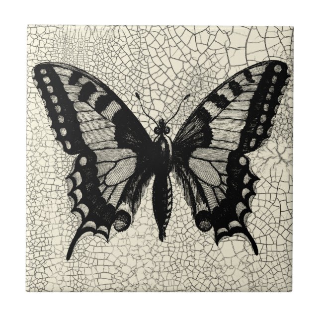 Carreau Papillon noir et blanc sur Arrière - plan fissuré (Devant)
