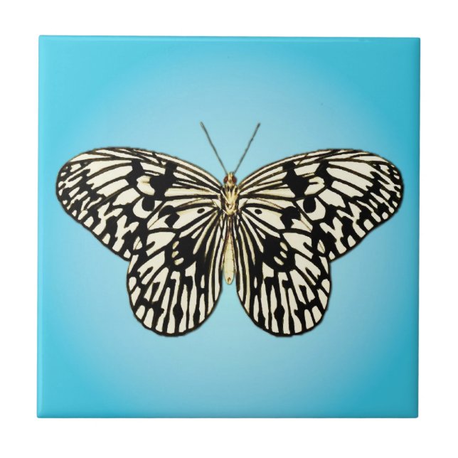 Carreau Papillon - noir et blanc sur turquoise (Devant)