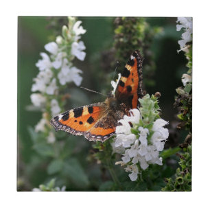 Carreau Papillon orange et fleurs blanches