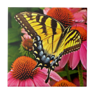 Carreau Papillon sur la tuile de la fleur v22