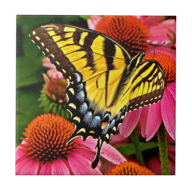 Carreau Papillon sur la tuile de la fleur v22 (Devant)