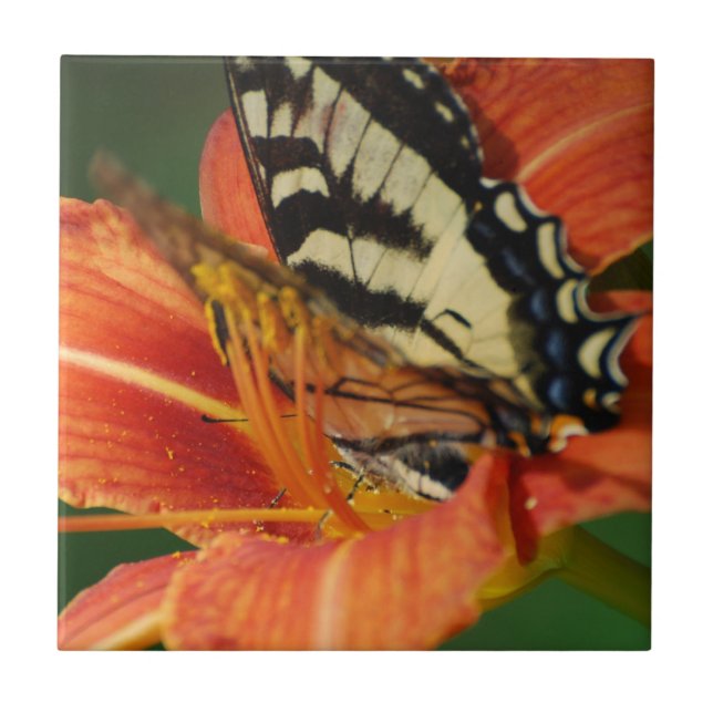 Carreau Papillon sur le lis (Devant)