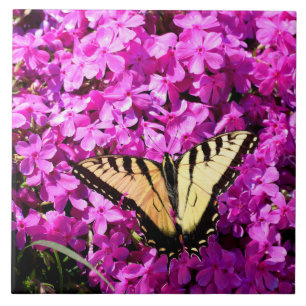 Carreau Papillon Swallowtail au lit de fleurs