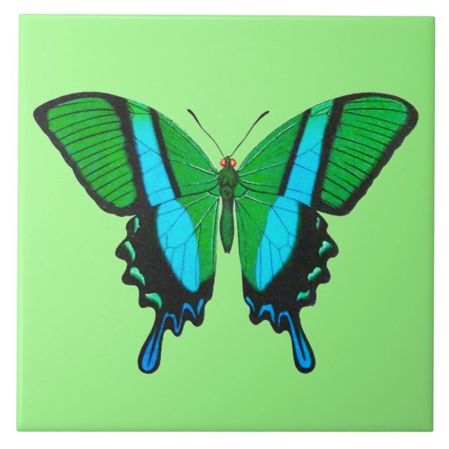 Carreau Papillon Swallowtail en vert, turquoise et noir (Devant)