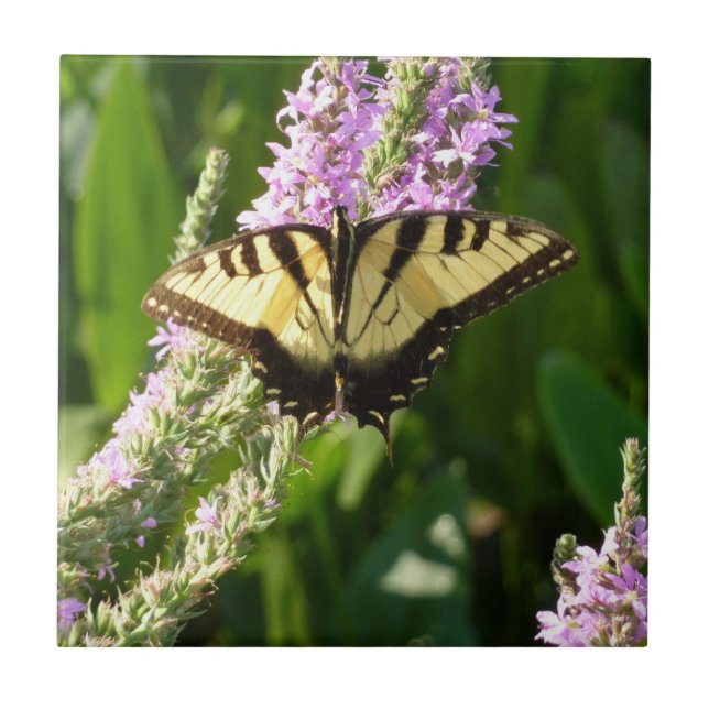 Carreau Papillon Swallowtail sur Fleurs sauvages pourpres (Devant)