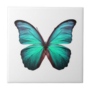 Carreau Papillon Turquoise lumineux
