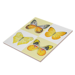 Carreau Papillons sur une Carrelage en céramique ( 2 )