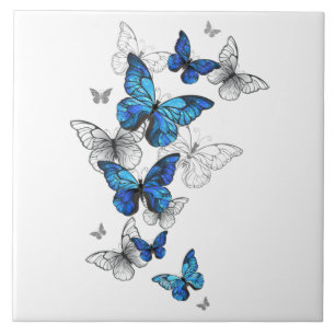 Carreau Papillons volants bleus Morpho