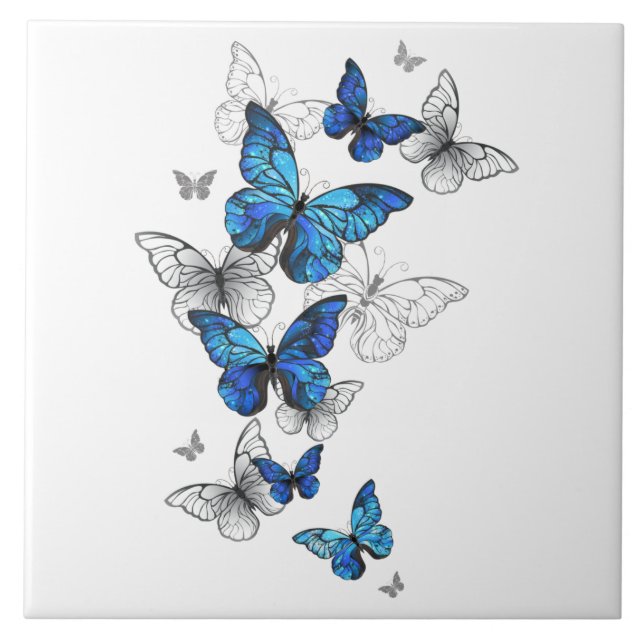Carreau Papillons volants bleus Morpho (Devant)