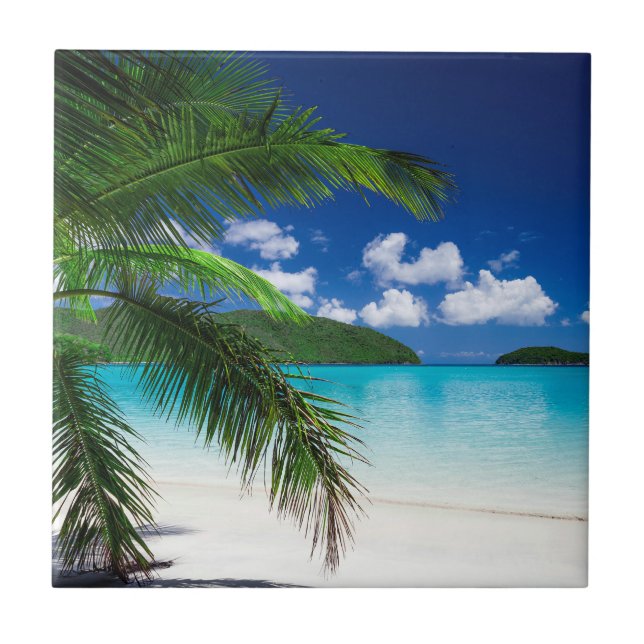Carreau Paradis de plage classique des îles tropicales (Devant)