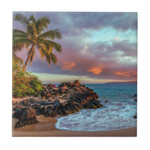 Carreau Paradis hawaïen tropical de plage sablonneuse de