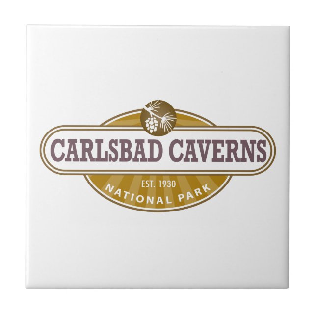 Carreau Parc national des Cavernes Carlsbad (Devant)